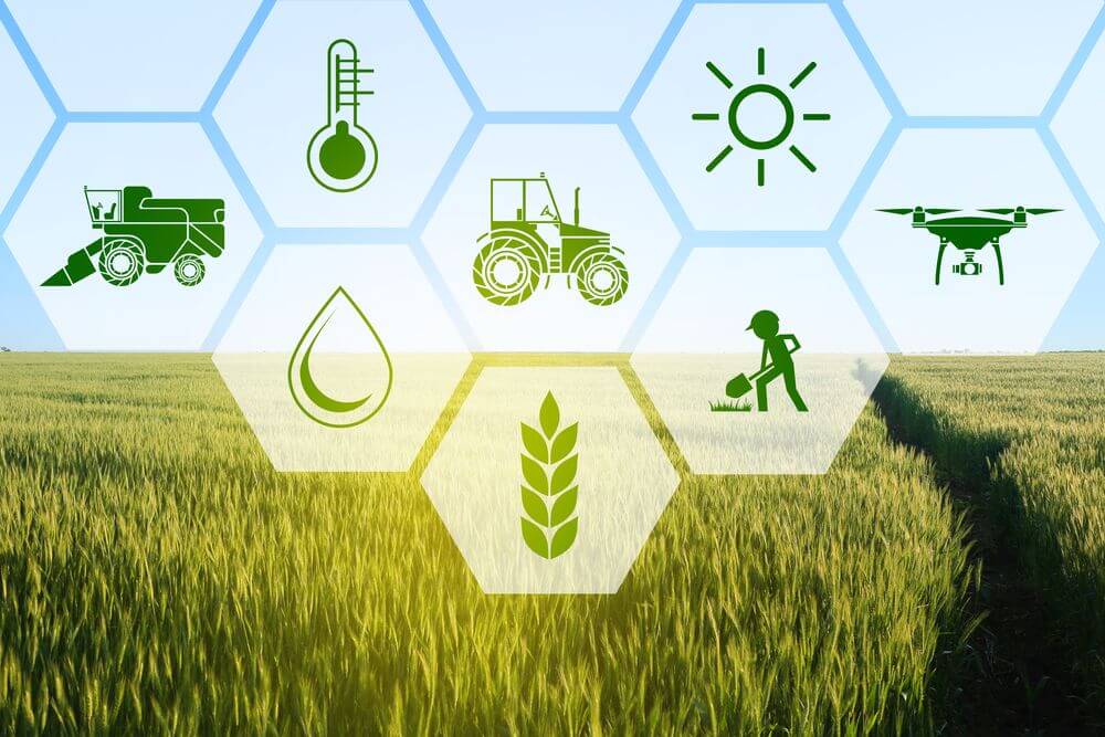 Concept Agrotech Consultants Limited